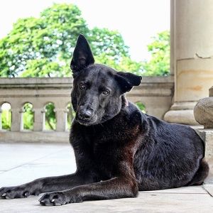 Meet your Posher, Julia